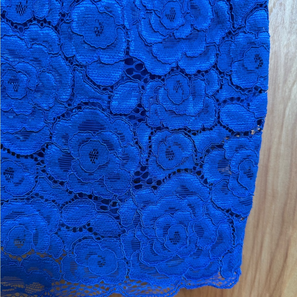 Small Ellen Tracy Blue Lace Sheath Dress - Petite - Office, Occasion, Spring - Picture 5 of 9